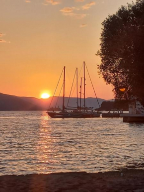 Bamboleo Montenegro